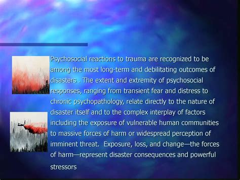 reactions to complex disasters are most similar to